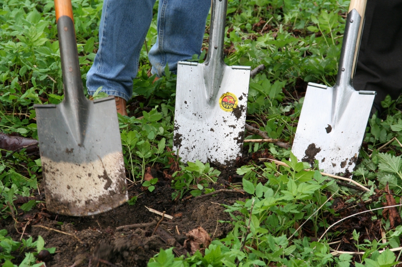 pepiniere-CASTILLON-min_work-lawn-flower-tool-green-backyard-1103633-pxhere.com